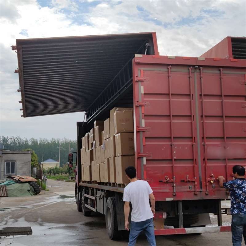 渭滨区扎囊县：物流专线的高效货运之旅